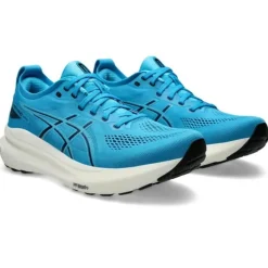Asics Gel-Kayano 31