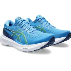 Asics Gel-Kayano 30