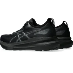 Asics Gel-Kayano 31