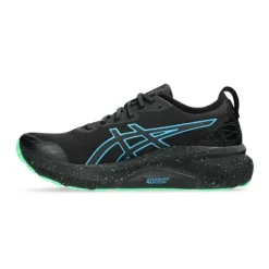 Asics Gel-Kayano 31 Lite-Show