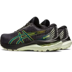 Asics GT-2000 11 GTX