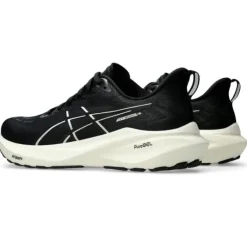 Asics GT-2000 13 Wide