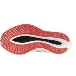 Mizuno Wave Rebellion Pro 2