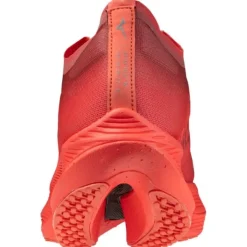 Mizuno Wave Rebellion Pro 2