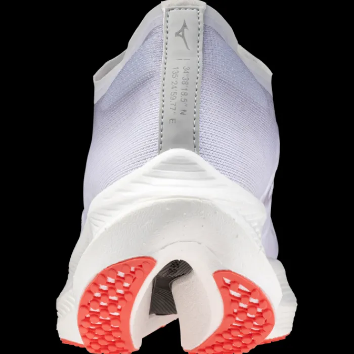 Mizuno Wave Rebellion Pro 2