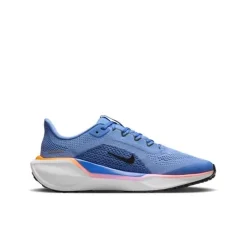 Nike Air Zoom Pegasus 41