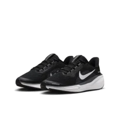 Nike Air Zoom Pegasus 41