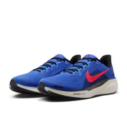 Nike Pegasus 41