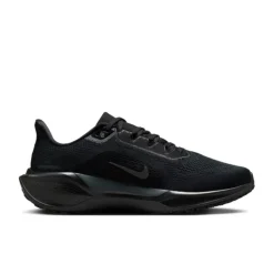 Nike Pegasus 41