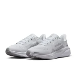 Nike Pegasus 41