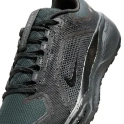 Nike Pegasus 41 Gore-Tex