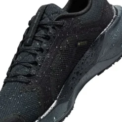 Nike Pegasus 41 Gore-Tex