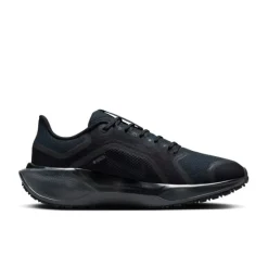 Nike Pegasus 41 Gore-Tex