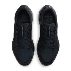 Nike Pegasus 41 Gore-Tex