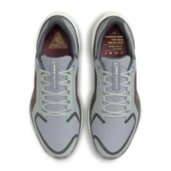 Nike Pegasus 41 Gore-Tex