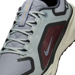 Nike Pegasus 41 Gore-Tex