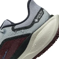 Nike Pegasus 41 Gore-Tex