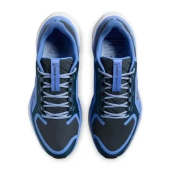 Nike Pegasus 41 Gore-Tex