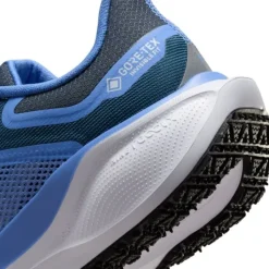 Nike Pegasus 41 Gore-Tex