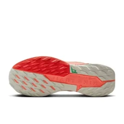 Nike Pegasus Trail 5 Gore-Tex