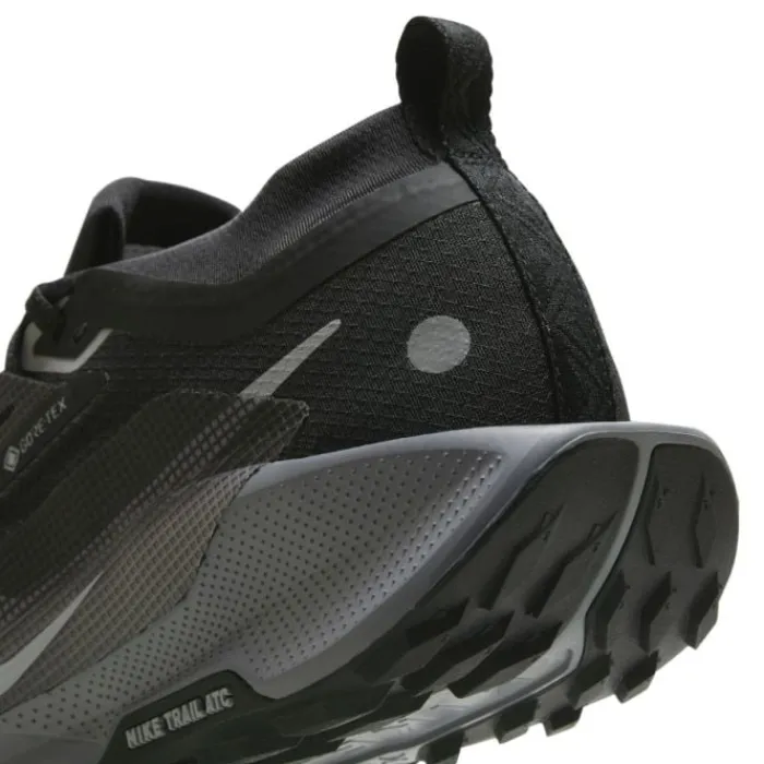 Nike Pegasus Trail 5 Gore-Tex