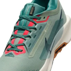 Nike Pegasus Trail 5 Gore-Tex