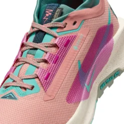 Nike Pegasus Trail 5 Gore-Tex