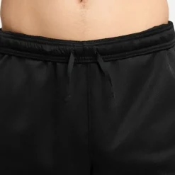 Nike Therma-FIT Water-Repellent Sphere Challenger Pants