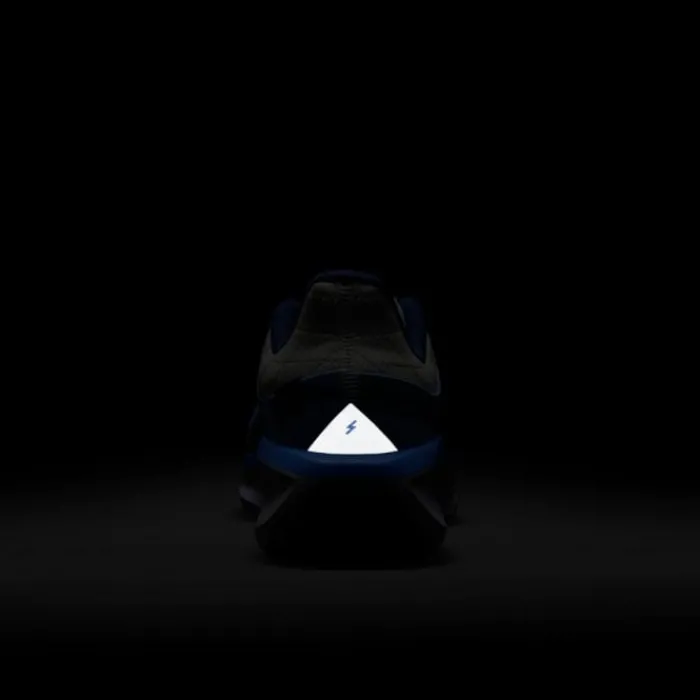 Nike Winflo 11 Gore-Tex