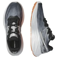 Salomon Aero Glide