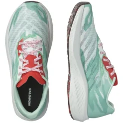 Salomon Aero Volt