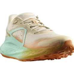 Salomon Glide Max TR