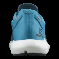 Salomon Predict 2