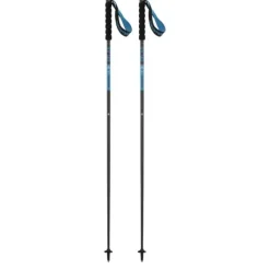 Salomon Sense Poles